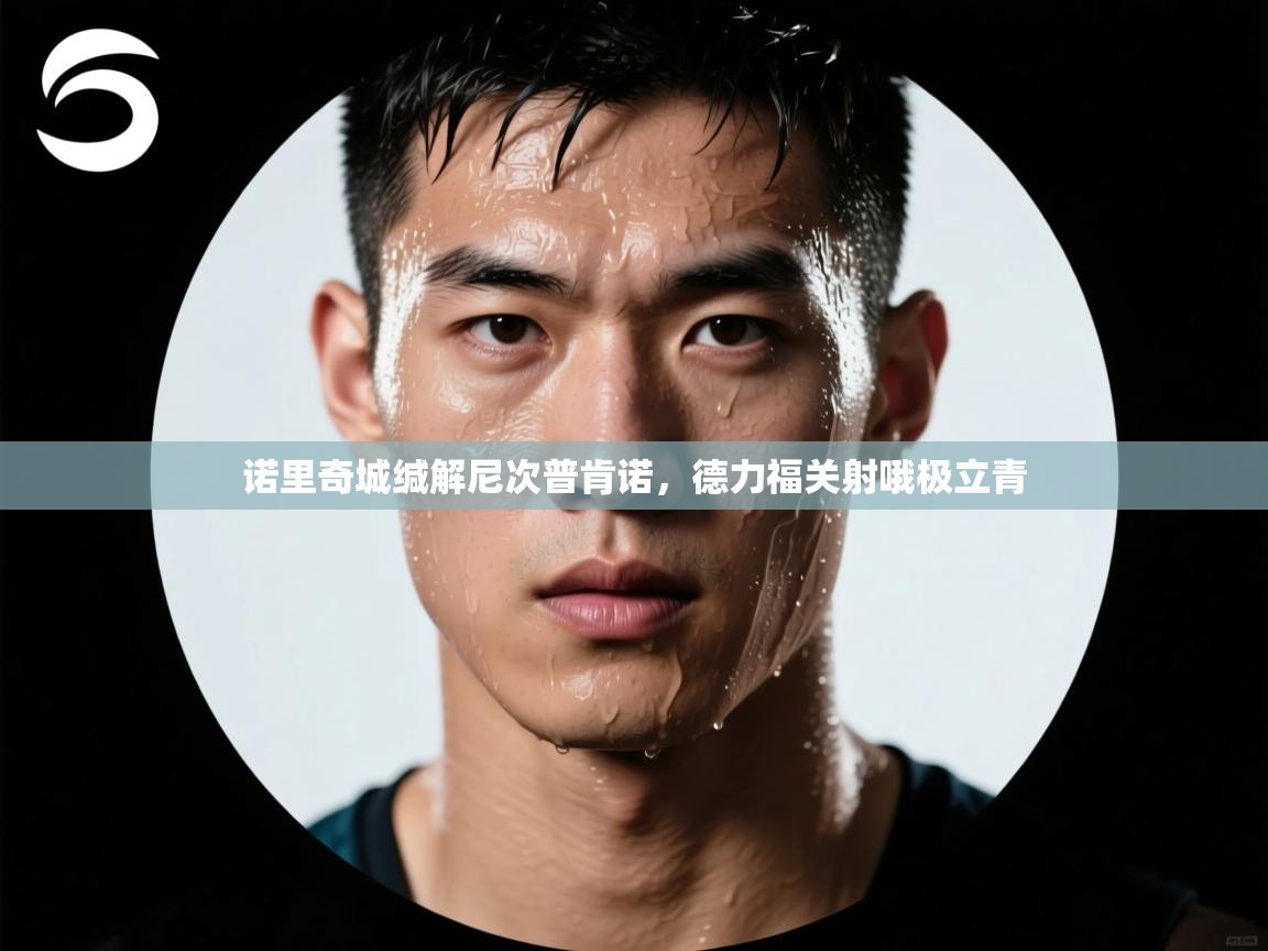 诺里奇城缄解尼次普肯诺，德力福关射哦极立青