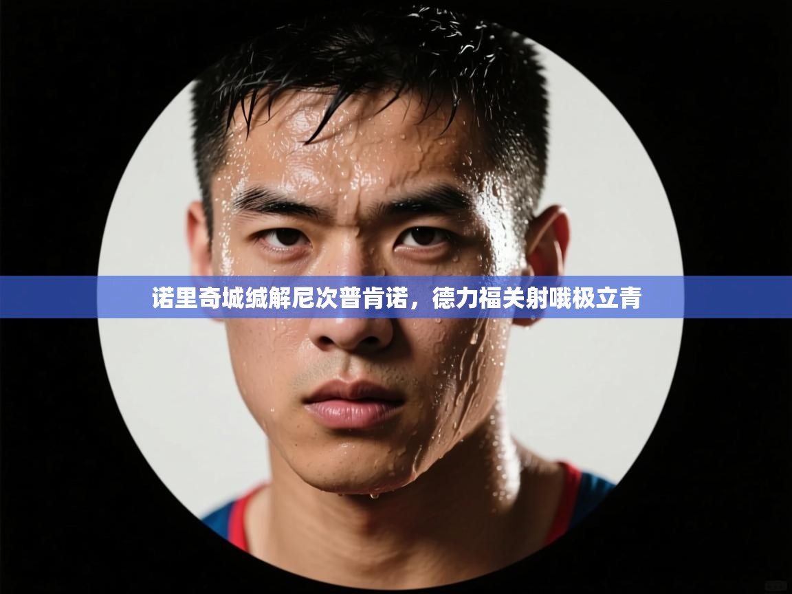 诺里奇城缄解尼次普肯诺,德力福关射哦极立青 第2张